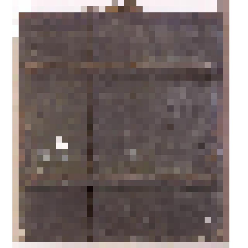 Богоматерь Знамение. Икона