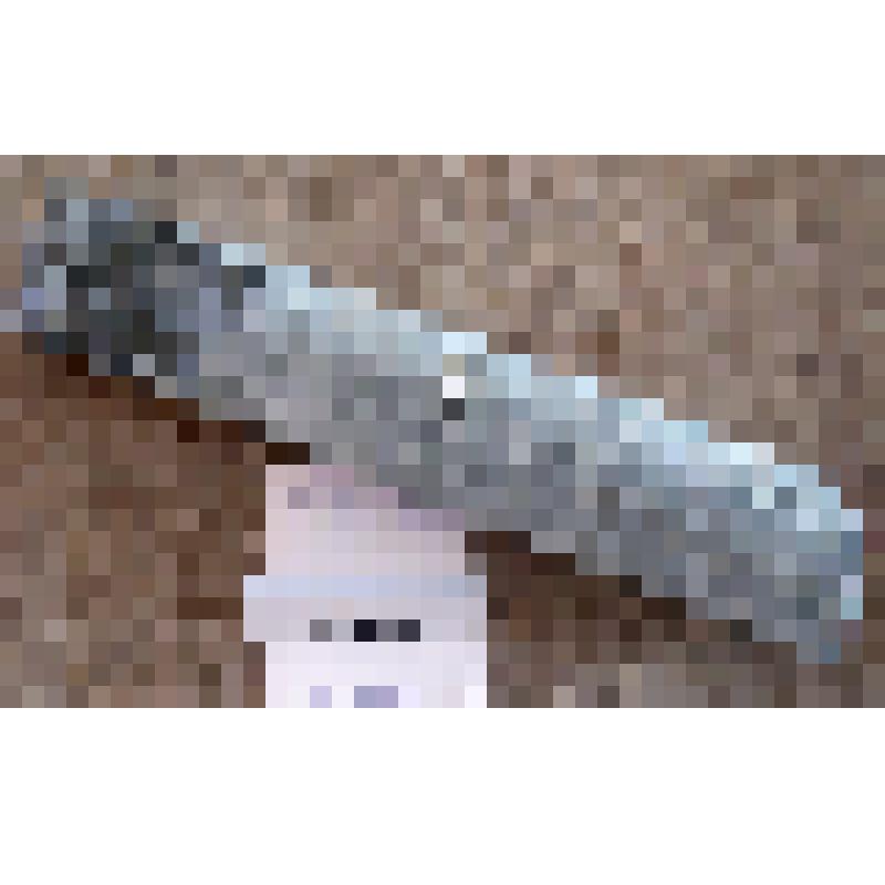 Гнейс (АR-PR1) с глубины 1600 м