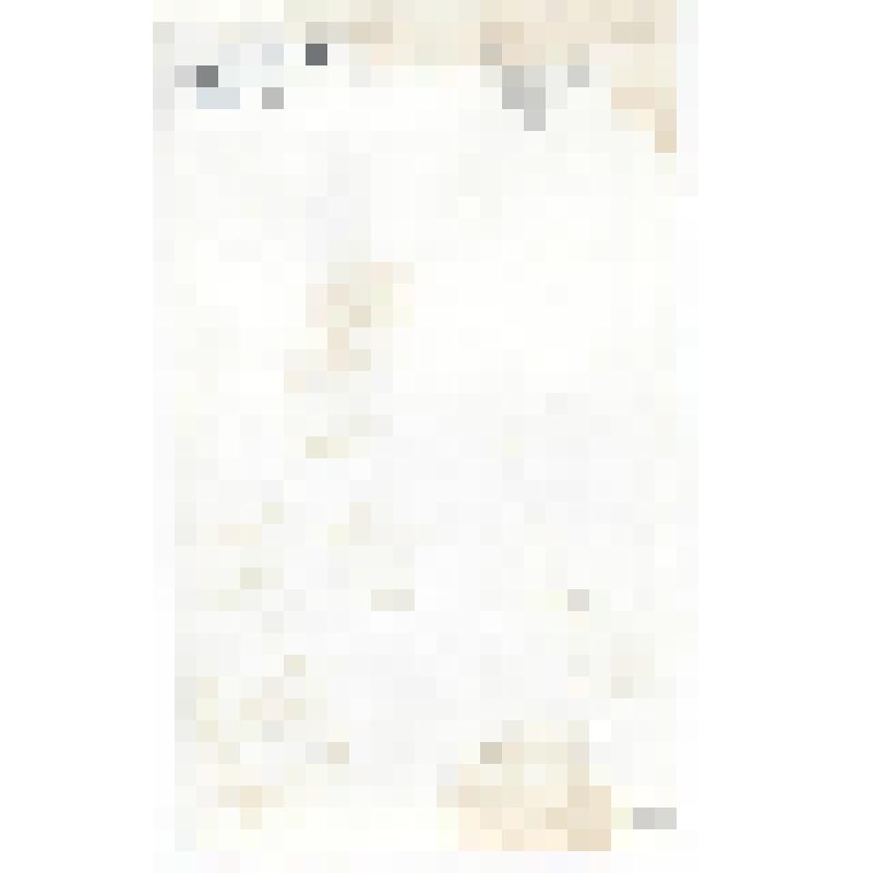 Фотография. Возложение венков на братскую могилу погибших бойцов в день Победы 9 мая 1968г