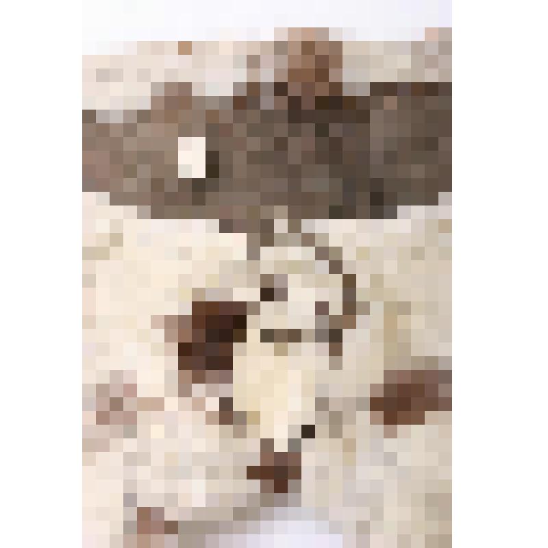 Штаны. Налгык-анатге - меховые штаны с арнаментом (из белого и темного камуса), налгык'онагтэ