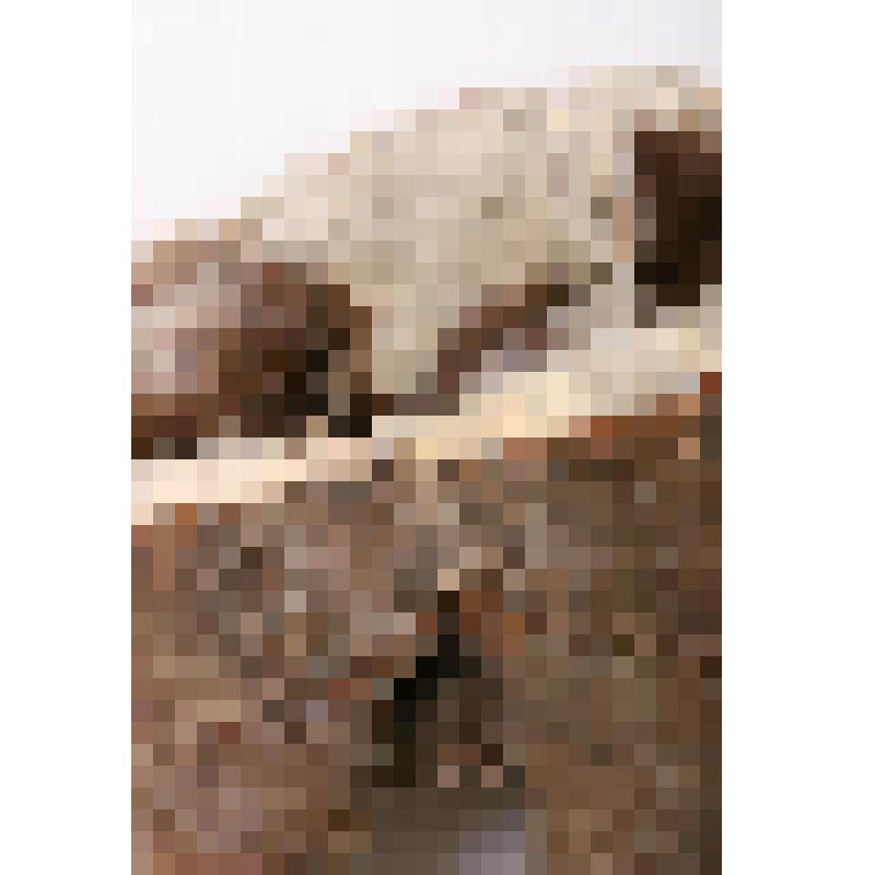 Штаны. Налгык-анатге - меховые штаны с арнаментом (из белого и темного камуса), налгык'онагтэ