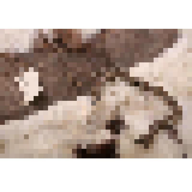 Штаны. Налгык-анатге - меховые штаны с арнаментом (из белого и темного камуса), налгык'онагтэ