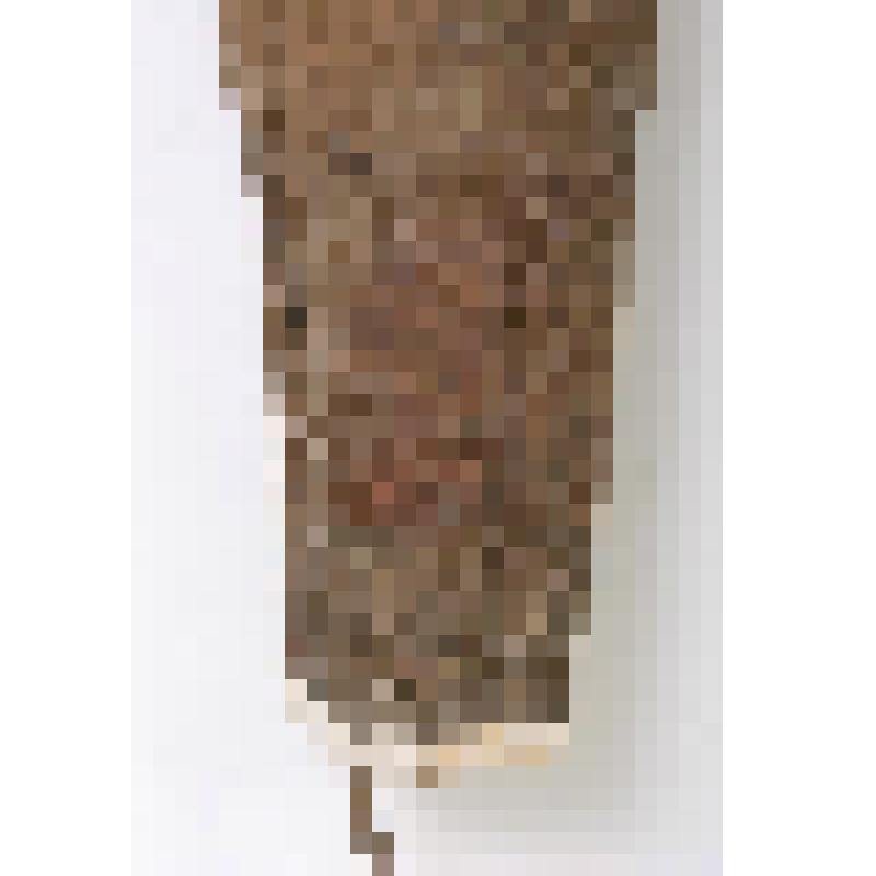 Штаны. Налгык-анатге - меховые штаны с арнаментом (из белого и темного камуса), налгык'онагтэ