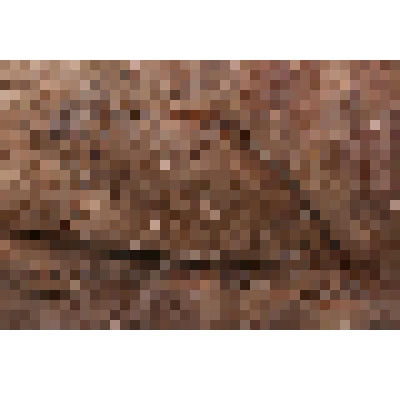 Штаны. Налгык-анатге - меховые штаны с арнаментом (из белого и темного камуса), налгык'онагтэ