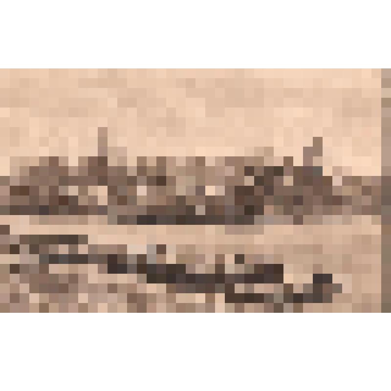 Открытка (Windsor Castle.)