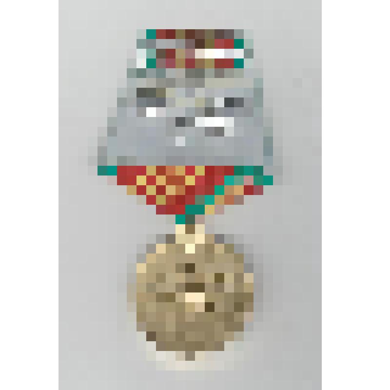 Награды. Медаль "За 10 лет безупречной службы"