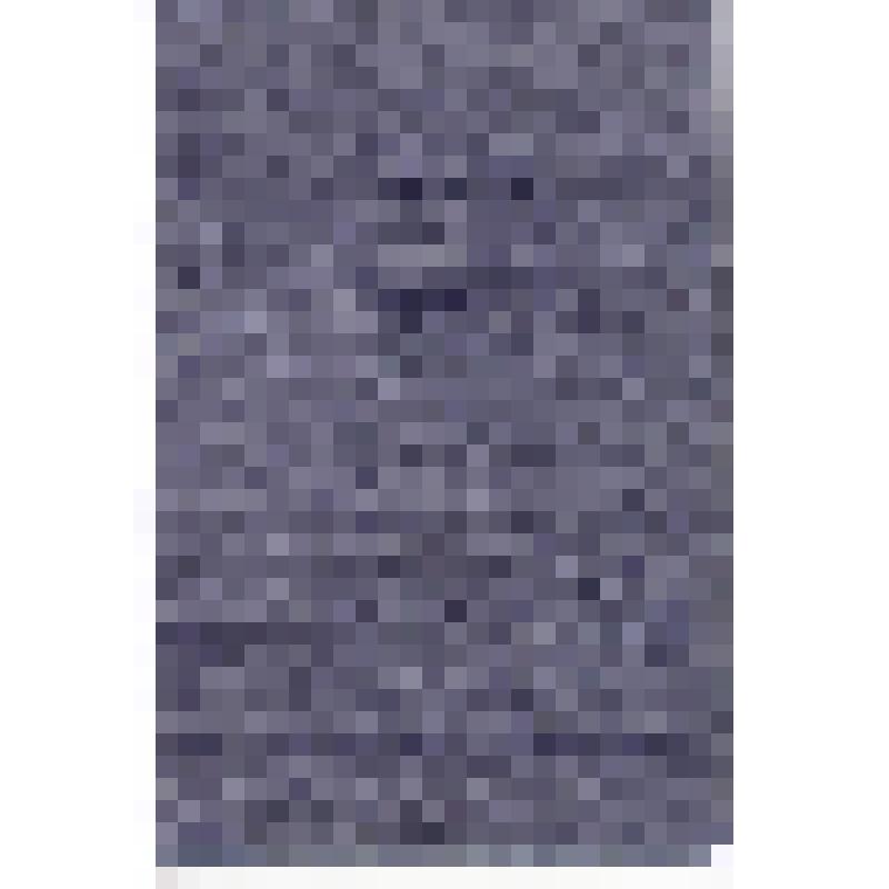 Диплом Б № 556837,предъявитель сего тов. Лугарь Игорь Сергеевич в 1938 г. поступил и в 1949 г. окончил полный курс Азербайджанского Ордена трудового Красного Знамени Индустриального ин-та им. Азизбекова по специальности "Нефтепромысловое дело" и решением