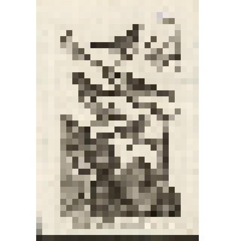 "Histoire Naturelle. Pl. X. Fig. 1Gros-Bec de yava. Fig. 2. Bruant du Canada. Fig.3.Bouvreuil d'Afrique. Fig.4.Mesange a tete noure du Canada. Fig.5.Hirondelle de la Cochinchine. Antonio Baratti sc. Гравюра