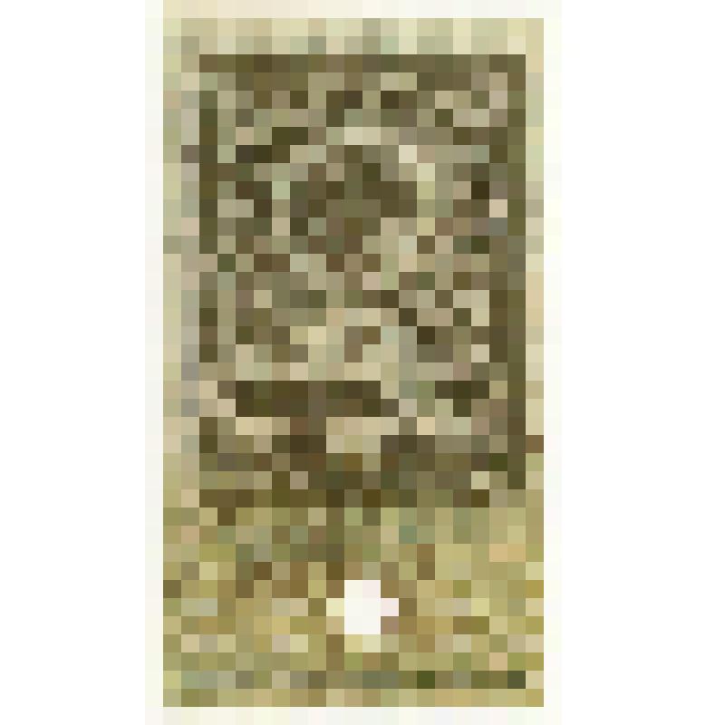 Марки почтовые. Марка почтовая. 1 рубль. (зеленый). "Гербовая марка" с изображением короны Российской империи