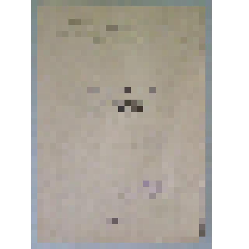 Программа. "Кармен" (Дирижер - Тимофеев В.С. Художник - Тимин А.И.). Улан-Удэ, Бурят-Монгольский театр оперы и балета