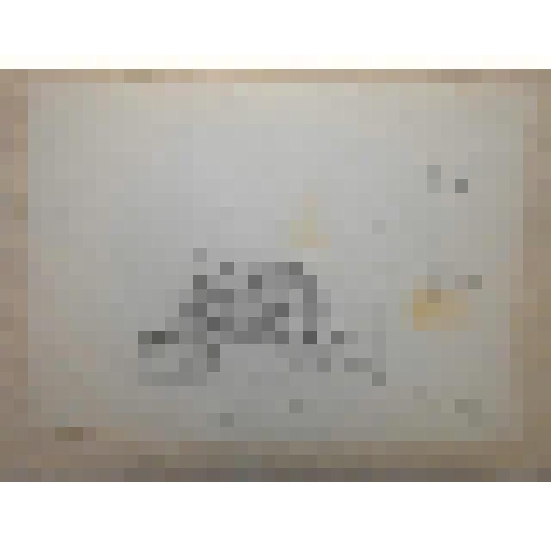 Эскиз декорации. Общая установка. "Из жизни насекомых". Воронеж, Театр кукол «Шут»