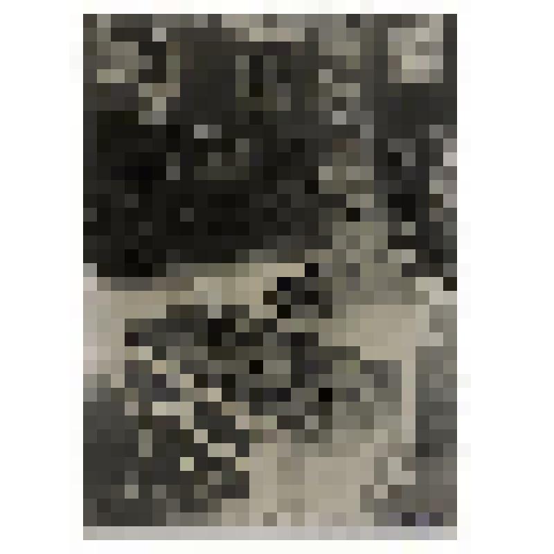 Выставка фондов Государственного литературного музея, посвященная 20-летию Великой Октябрьской социалистической революции)