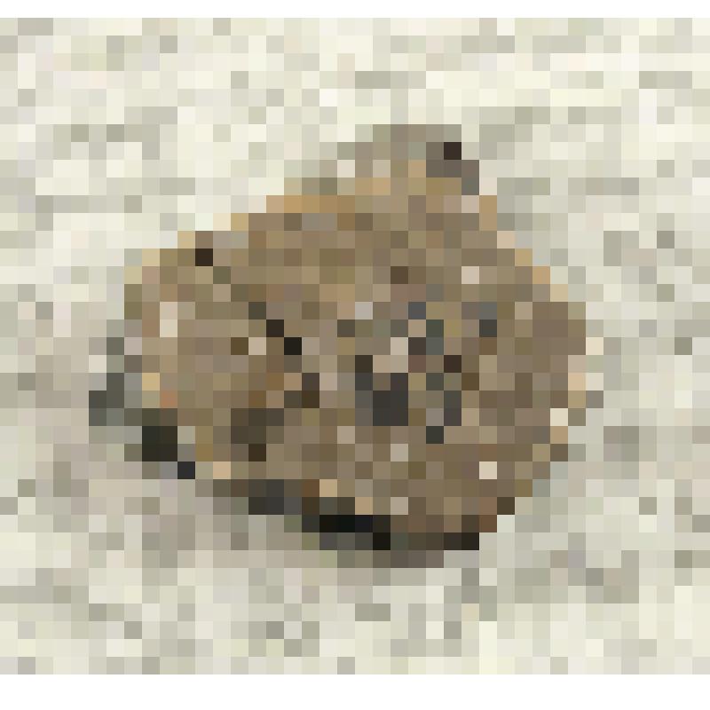 Фрагмент керамики