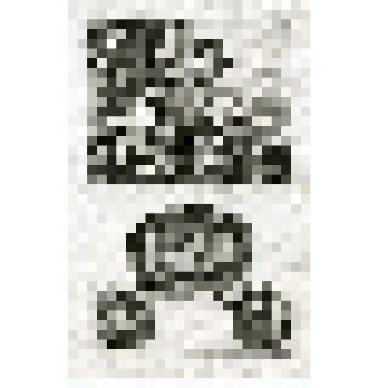 Офорт. Лист 171. Воскрешение Лазаря. Омовение ног Иисуса Марией. Омовение ног Апостолам. Иисус на кресте (Ин. 11, 12, 13, 19)