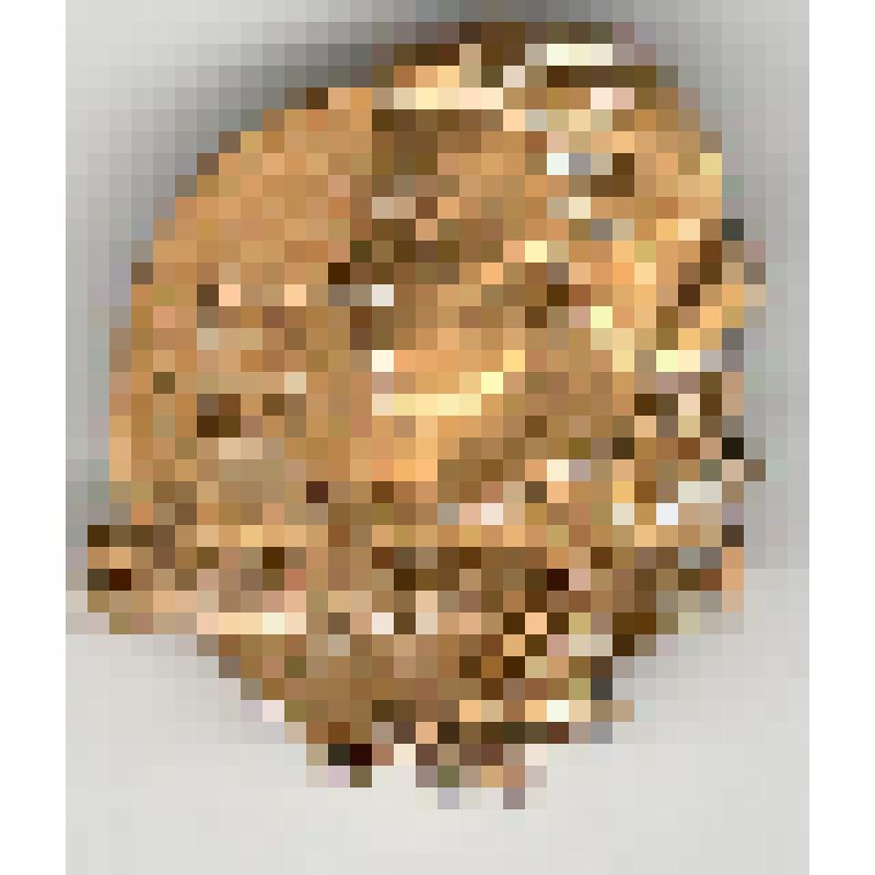 Значок. Украинка Леся, на булавке. СССР