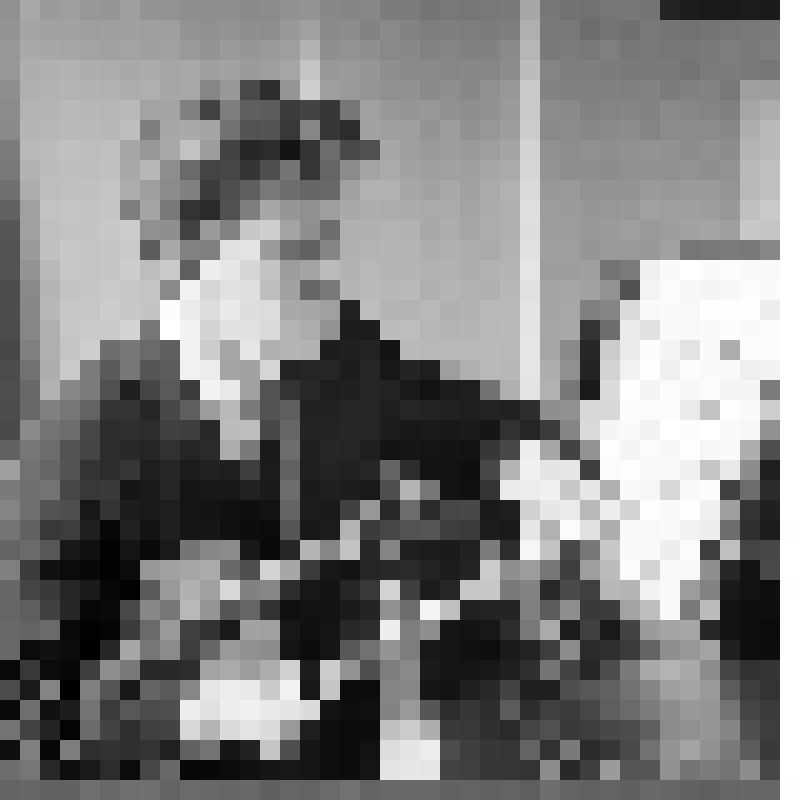 Негатив. Малинин В.К. - скрипач