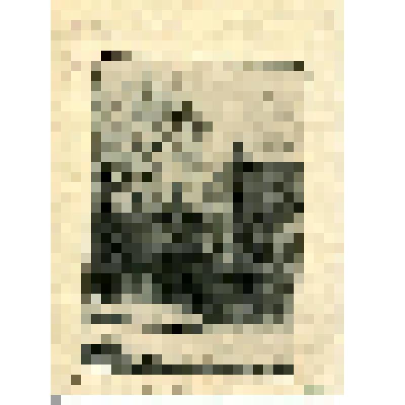 "Двор". Гравюра