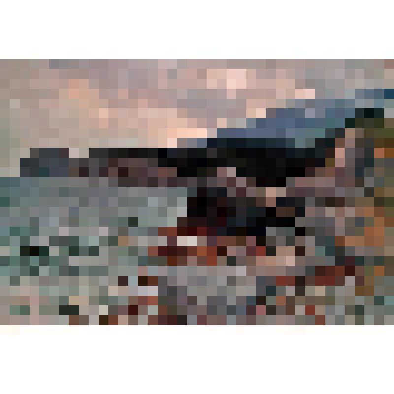 Этюд Берег пионерлагеря "Артек"