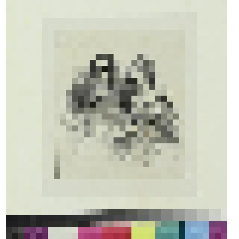 Мсье и мадам Эмиль Таньи, гравюра