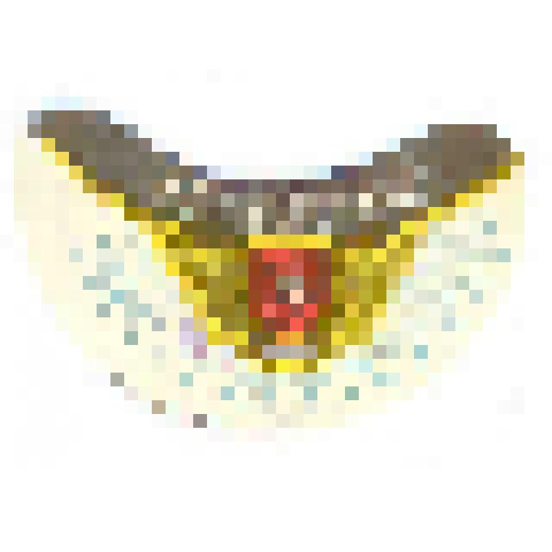 Кольеретка к пиву «Жигулевское» производства Череповецкого пивзавода, из коллекции кольереток - этикеток горловых к бутылкам для пива