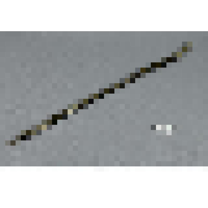 Набор украшений к национальному венгерскому мужскому костюму в футляре. Цепочка