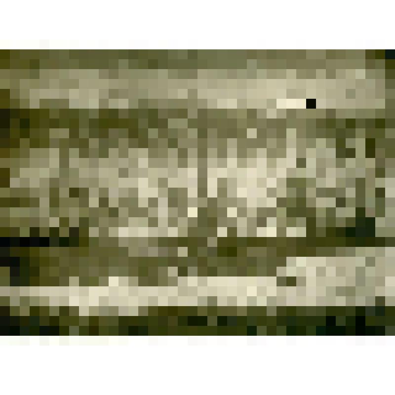 Фотография. Наш табор на речке Натарында