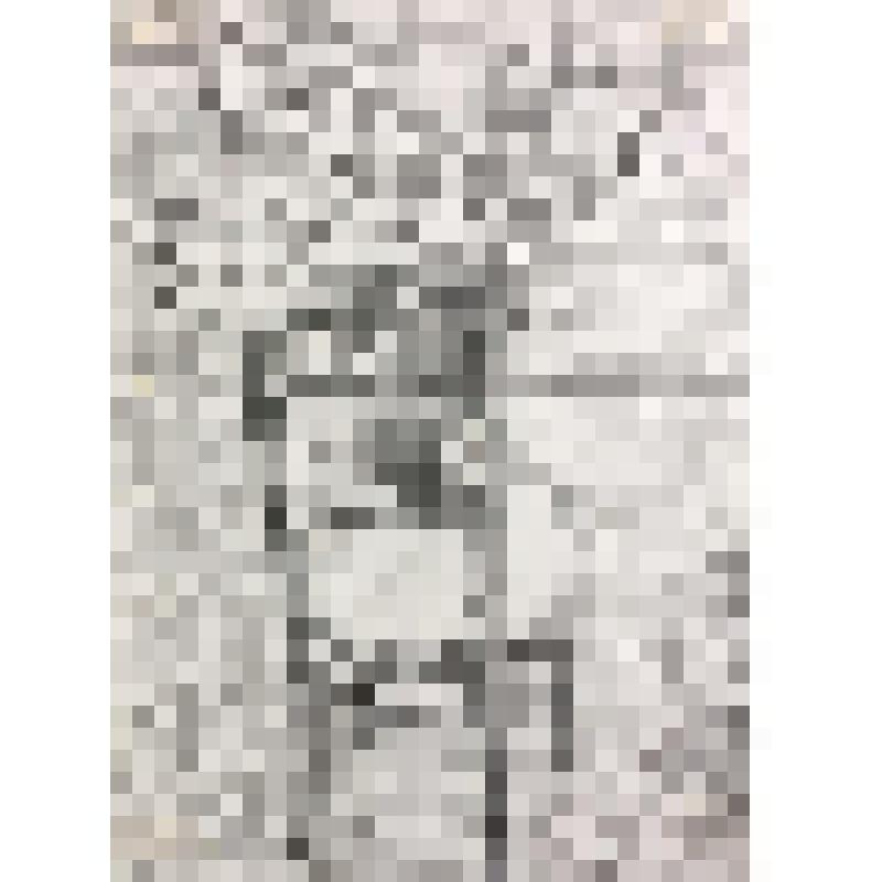 Композиция