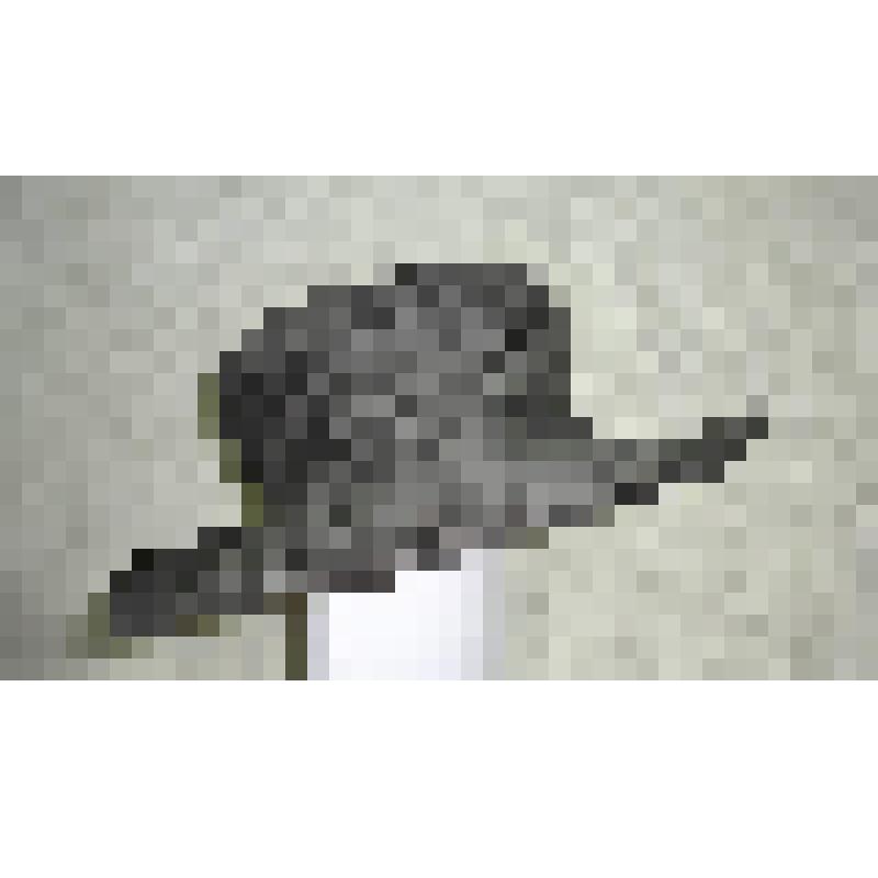 Шляпа волосяная с широкими полями