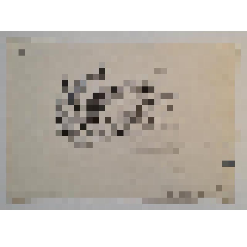 Рисунок. Бабочка и цветы