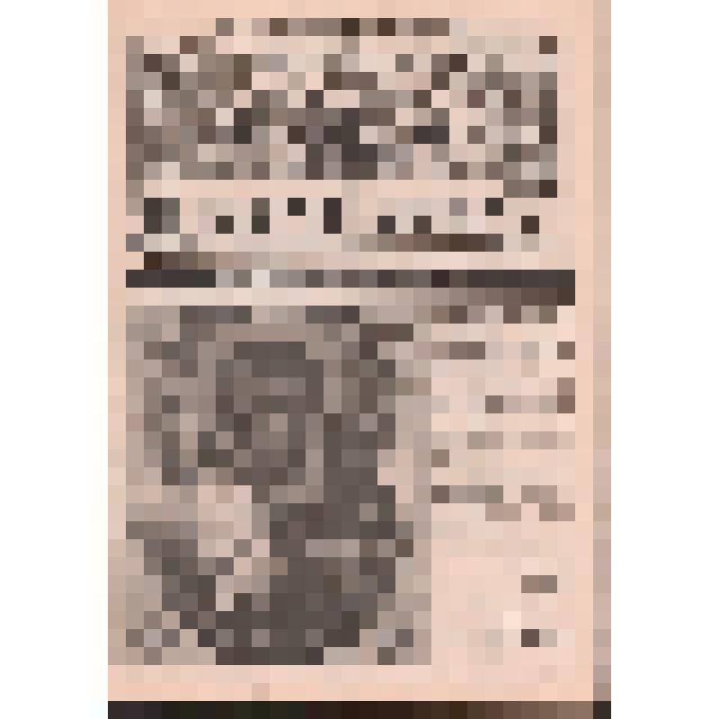 Газета. Казачий дозор. Газета Амурского казачьего войска № 39 за апрель 2010 г