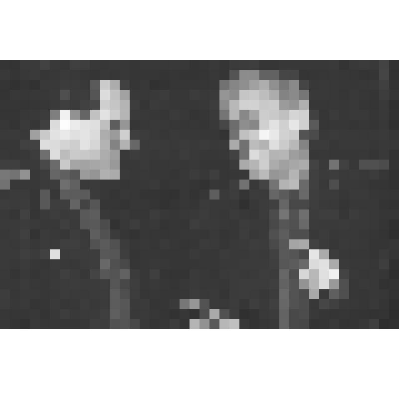 Фото. Сцена из спектакля Мордовского республиканского драматического театра "Всё началось со лжи"