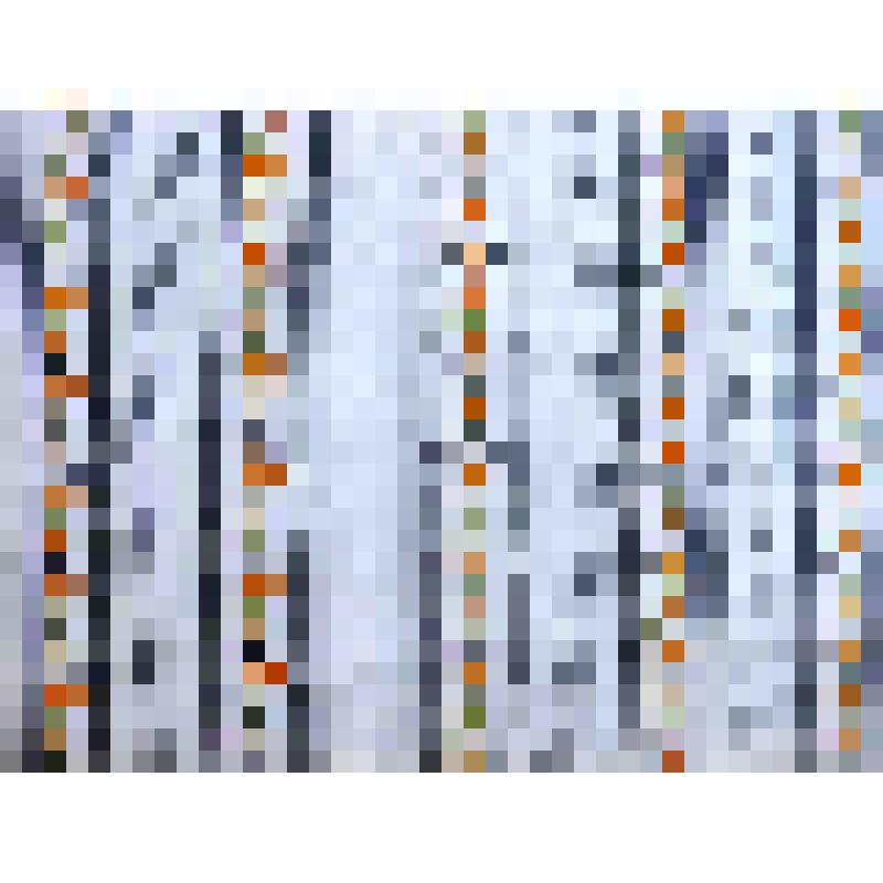 Образец ситца набивного, в альбоме