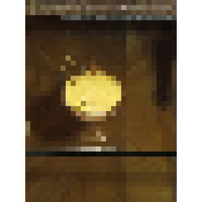 Часы карманные с ключом. Часы карманные с гербом рода Свистуновых