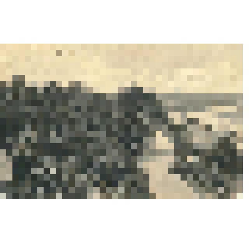 Почтовая карточка. "Сызрань. Городской сад"