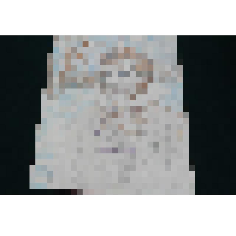 Монотипия цв. "А.С.Пушкин"