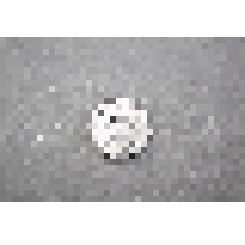 Монета 1 сентаво