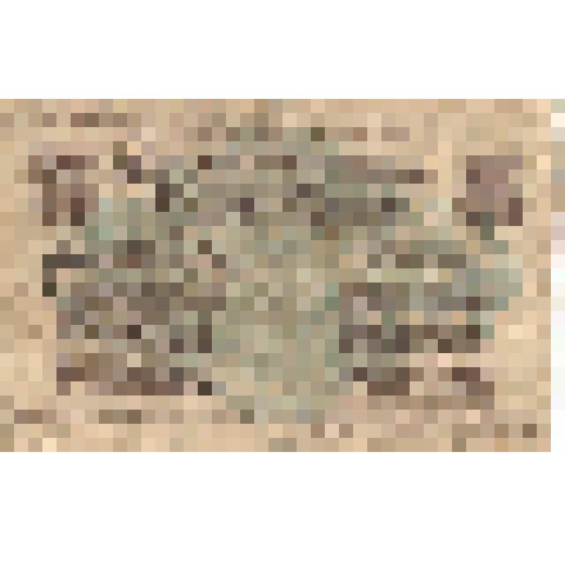 Банкнота. Пять марок