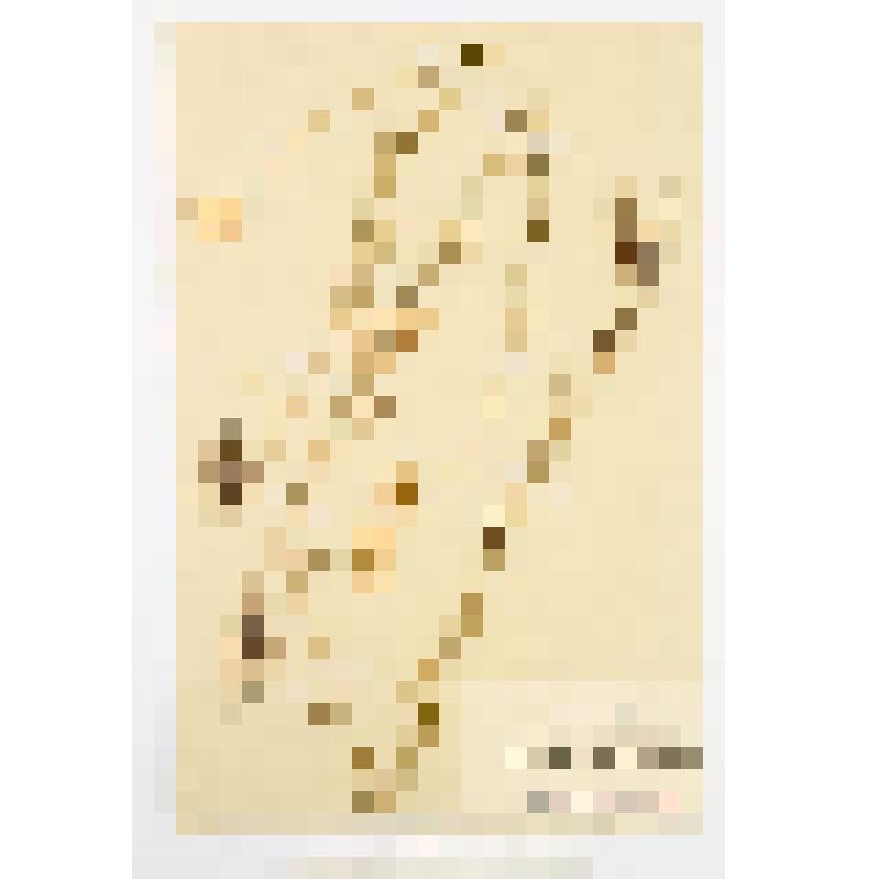 Гербарный экземпляр сосудистых растений. Нивняк обыкновенный