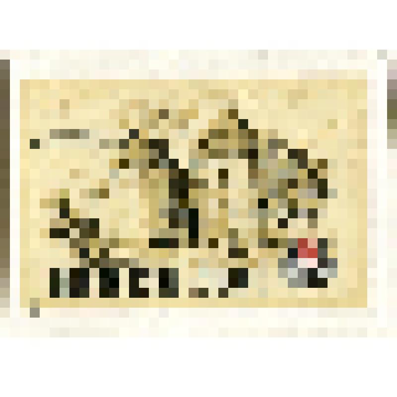 Этикетка спичечная. Монастыри, замки и крепости Югославии. Вараждин