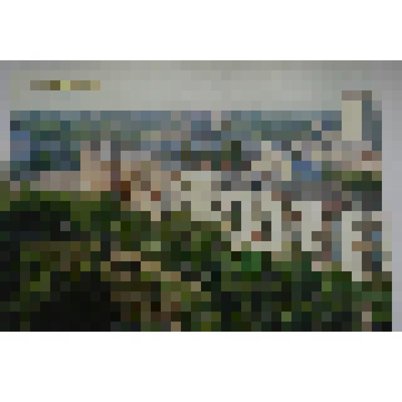 Комплект открыток "Армавир". 15 сюжетов. Фото М.Кудрявцева. Редактор М.Толмачева.
фототкрытка "Улица Мира"