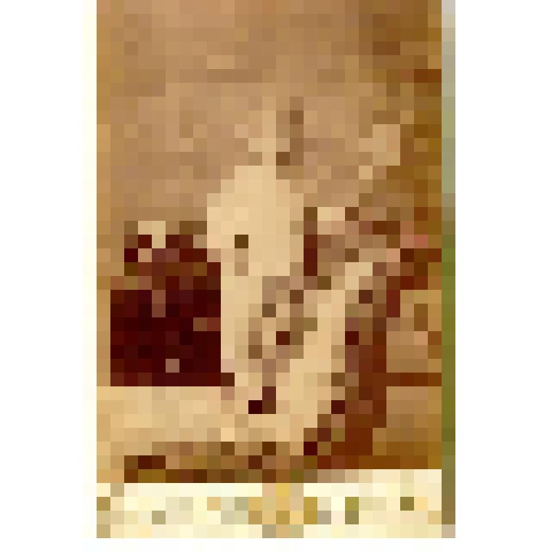 Фотография. Георгий [Лагун?] в возрасте около 1 года