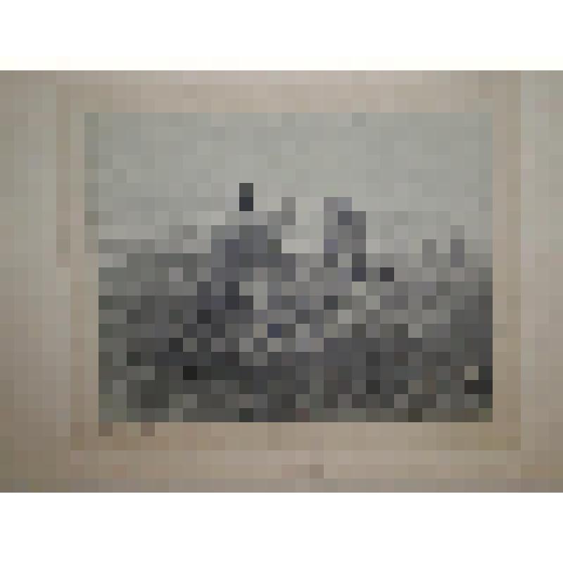 Иллюстрация. Иллюстрация к поэме А.С. Пушкина «Полтава». Бегство Карла XII и Мазепы