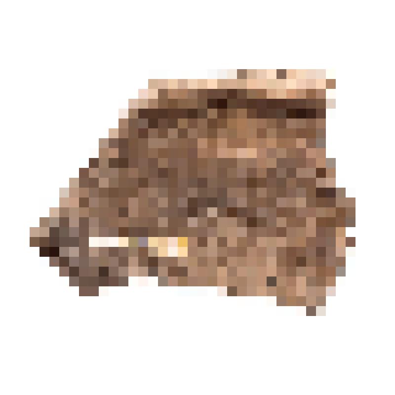 Фрагмент венчика и стенки сосуда. Промысловое 2