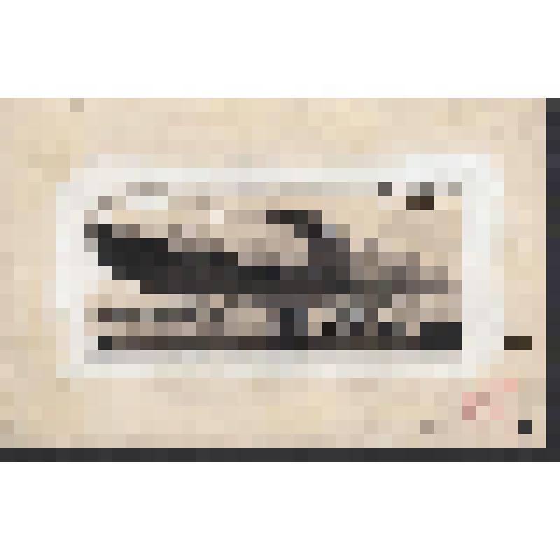 Оригинал почтовой марки. СССР. Ц.Ф.А.-470. "Правда". Авиапочта. Дирижабли СССР. 5 коп. 20. 10. 1934