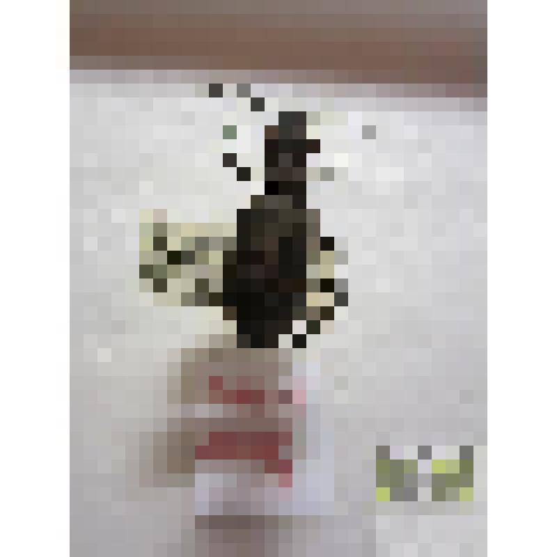 Скакун лесной (Cicindela silvatica L.)