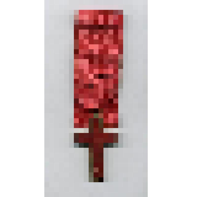 Латинский крест на красной муаровой ленте - знак масонской ложи