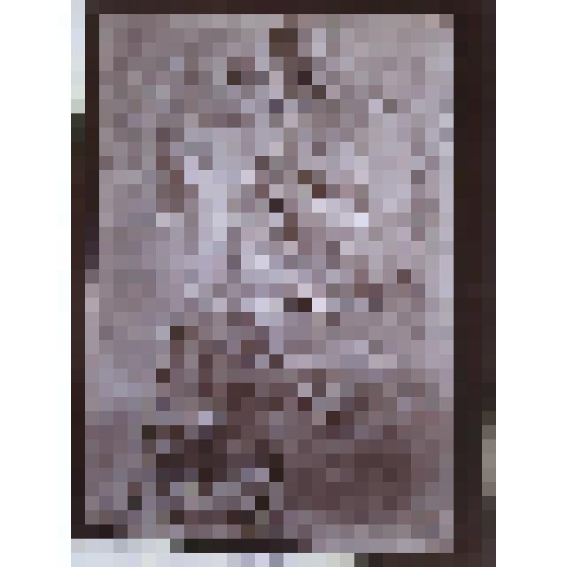 Галерея Буонароти. 1475-1564 гг. Италия, Флоренция. Галерея Буонароти. Рельеф Мадонна с млоденцем. Авт. Микельанджело. Изд. Алинари