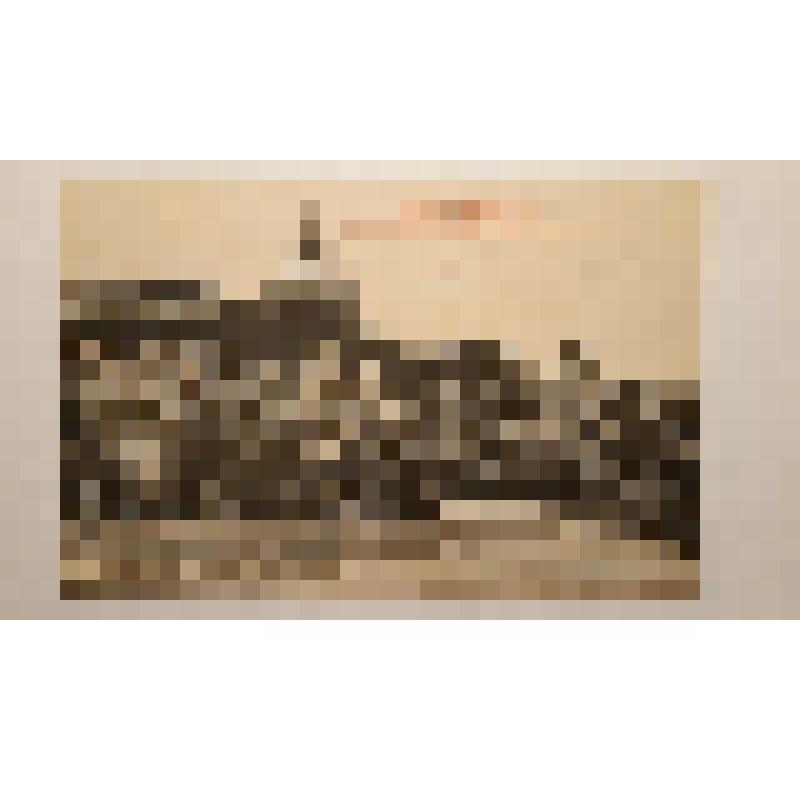 Украина, г. Одесса. Слободка Романовка.Психиатрическая больница.1890-е гг. Общий вид. Фототипия Шерер, Набгольц и Ко, Москва