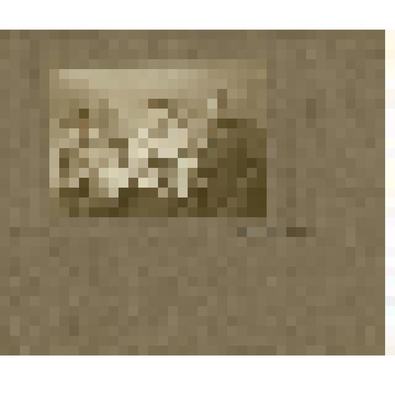 Фотография. Каллистратов Семен Акимович с семьей