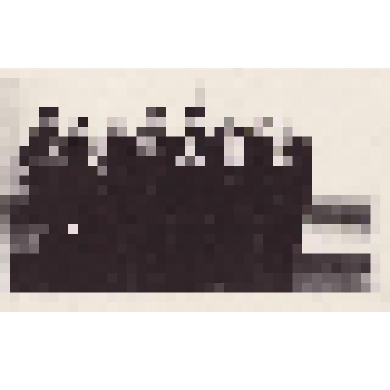 Фотография черно-белая. Первый состав отделения милиции